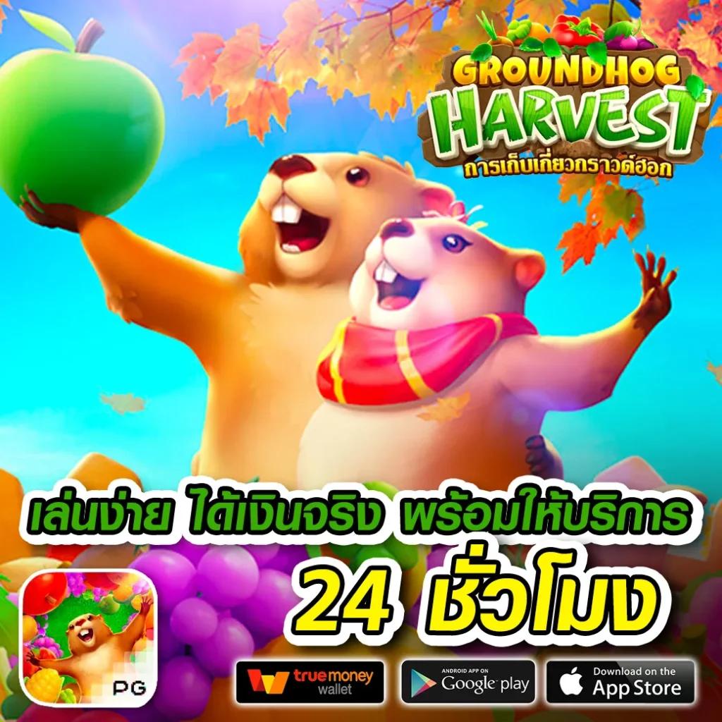 บ้านผลบอล: แหล่งรวมเกมคาสิโนออนไลน์ที่ครบวงจร