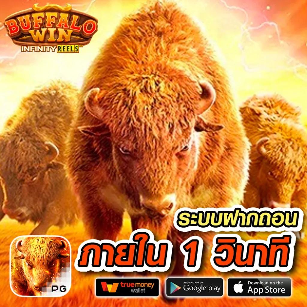โปรแกรมบอล ผลบอลสด 888 อัพเดตสด ราคาต่อรองล่าสุด